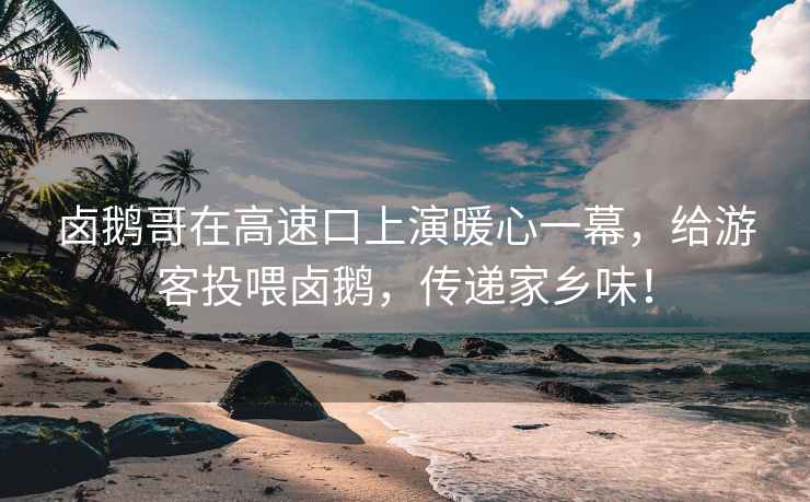 鹵鵝哥在高速口上演暖心一幕，給游客投喂鹵鵝，傳遞家鄉味！