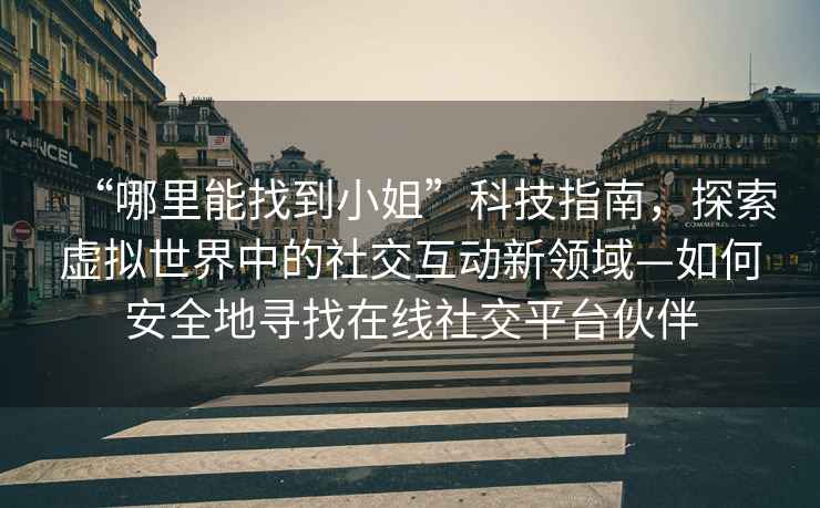 “哪里能找到小姐”科技指南，探索虛擬世界中的社交互動新領域—如何安全地尋找在線社交平臺伙伴