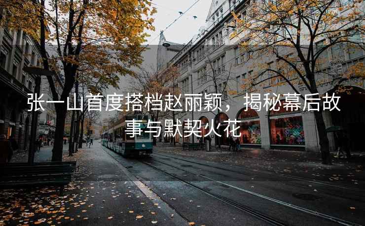 張一山首度搭檔趙麗穎，揭秘幕后故事與默契火花