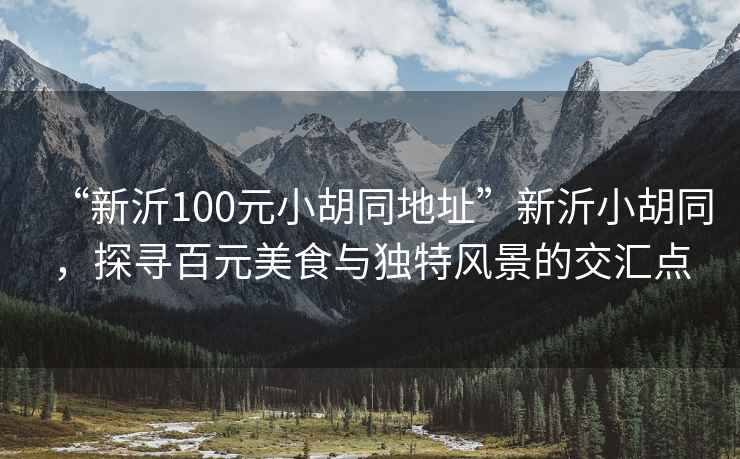 “新沂100元小胡同地址”新沂小胡同，探尋百元美食與獨特風景的交匯點