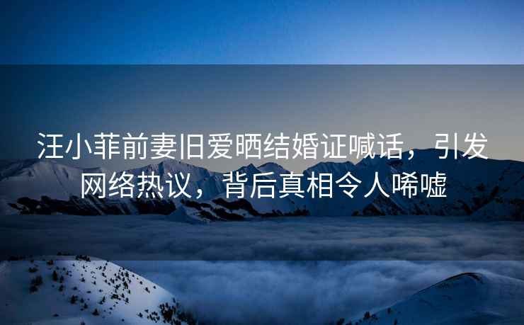 汪小菲前妻舊愛曬結婚證喊話，引發網絡熱議，背后真相令人唏噓
