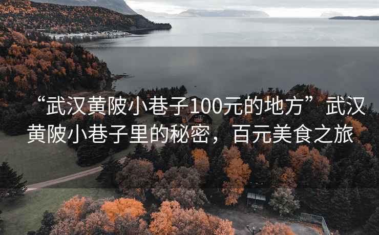 “武漢黃陂小巷子100元的地方”武漢黃陂小巷子里的秘密，百元美食之旅