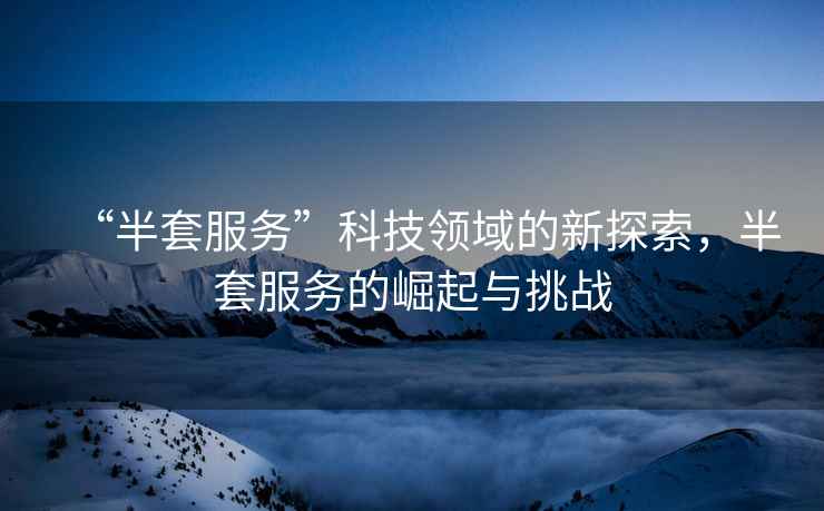 “半套服務”科技領域的新探索，半套服務的崛起與挑戰