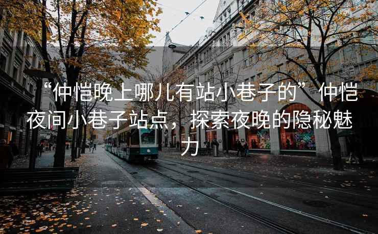 “仲愷晚上哪兒有站小巷子的”仲愷夜間小巷子站點，探索夜晚的隱秘魅力