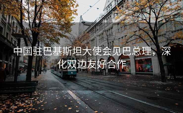 中國駐巴基斯坦大使會見巴總理，深化雙邊友好合作