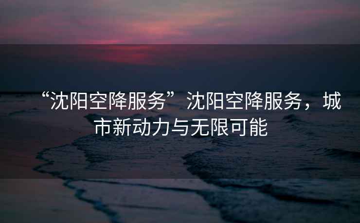 “沈陽空降服務”沈陽空降服務，城市新動力與無限可能