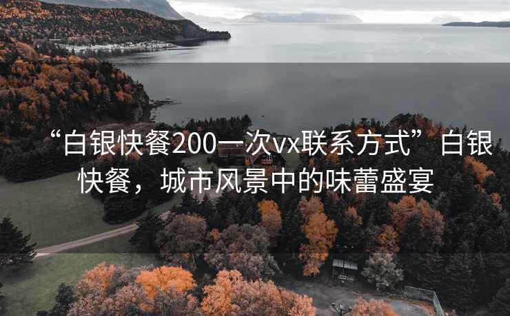 “白銀快餐200一次vx聯系方式”白銀快餐，城市風景中的味蕾盛宴