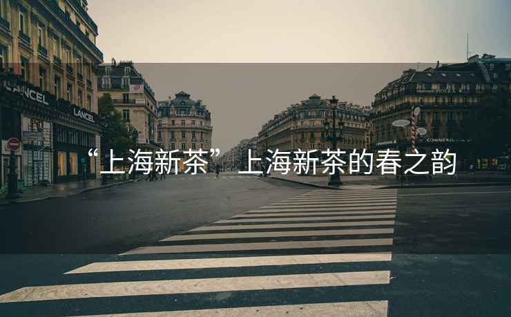 “上海新茶”上海新茶的春之韻