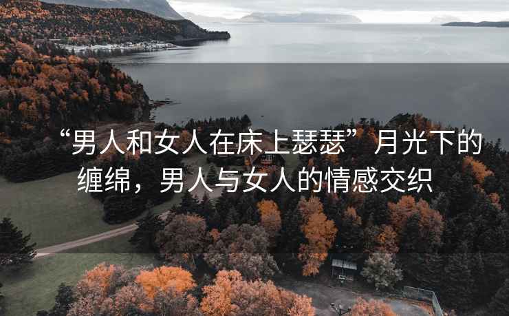 “男人和女人在床上瑟瑟”月光下的纏綿，男人與女人的情感交織