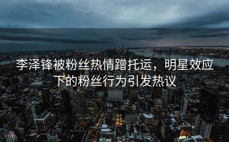 李澤鋒被粉絲熱情蹭托運，明星效應下的粉絲行為引發熱議