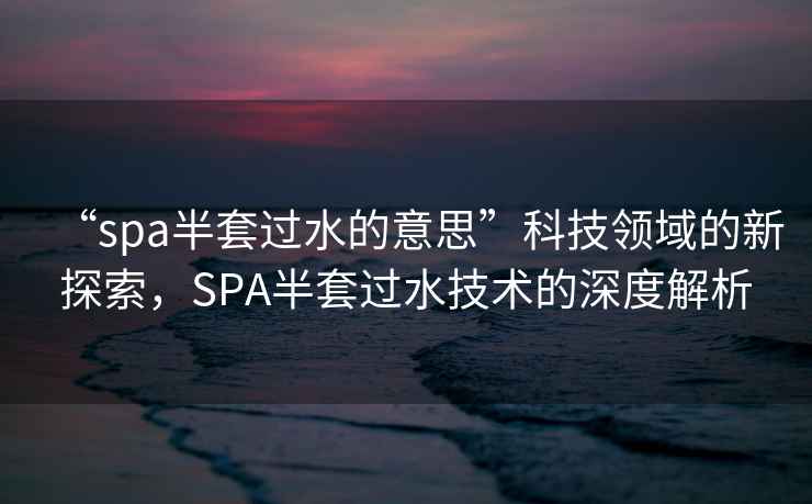 “spa半套過水的意思”科技領域的新探索，SPA半套過水技術的深度解析