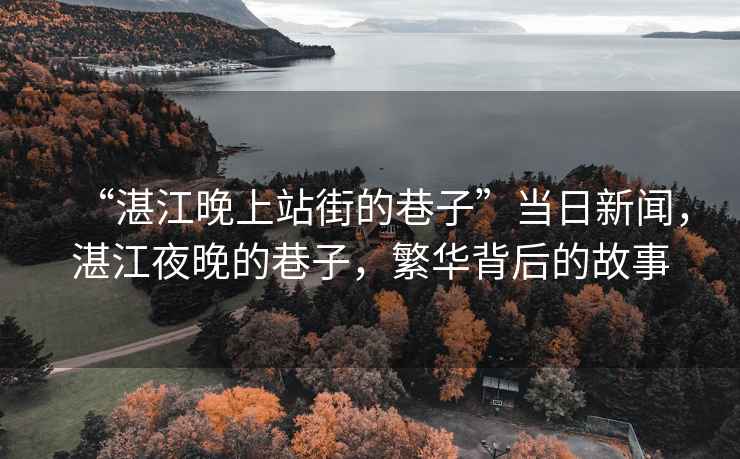 “湛江晚上站街的巷子”當日新聞，湛江夜晚的巷子，繁華背后的故事