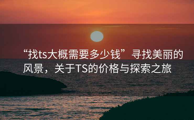 “找ts大概需要多少錢”尋找美麗的風景，關(guān)于TS的價格與探索之旅