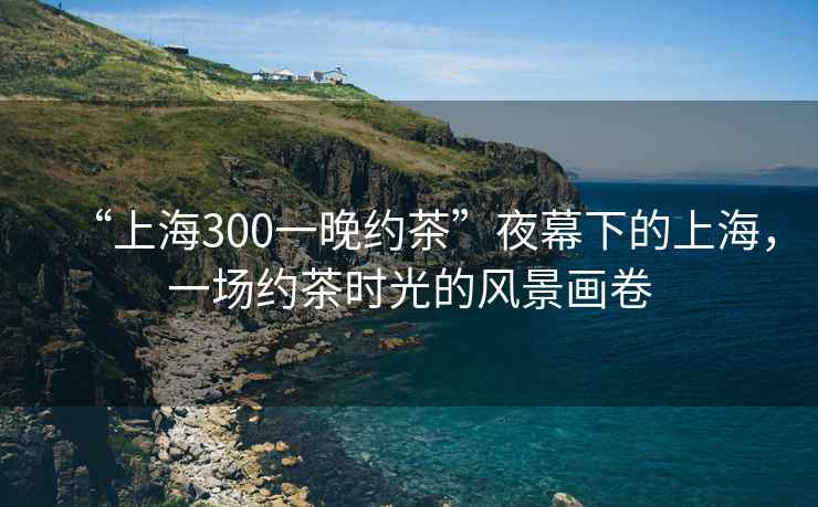 “上海300一晚約茶”夜幕下的上海，一場約茶時光的風景畫卷