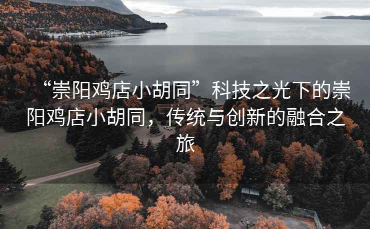 “崇陽雞店小胡同”科技之光下的崇陽雞店小胡同，傳統與創新的融合之旅