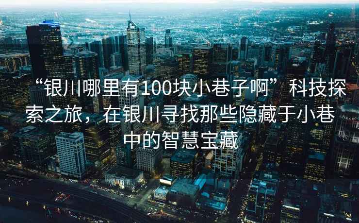 “銀川哪里有100塊小巷子啊”科技探索之旅，在銀川尋找那些隱藏于小巷中的智慧寶藏