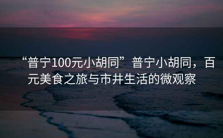 “普寧100元小胡同”普寧小胡同，百元美食之旅與市井生活的微觀察