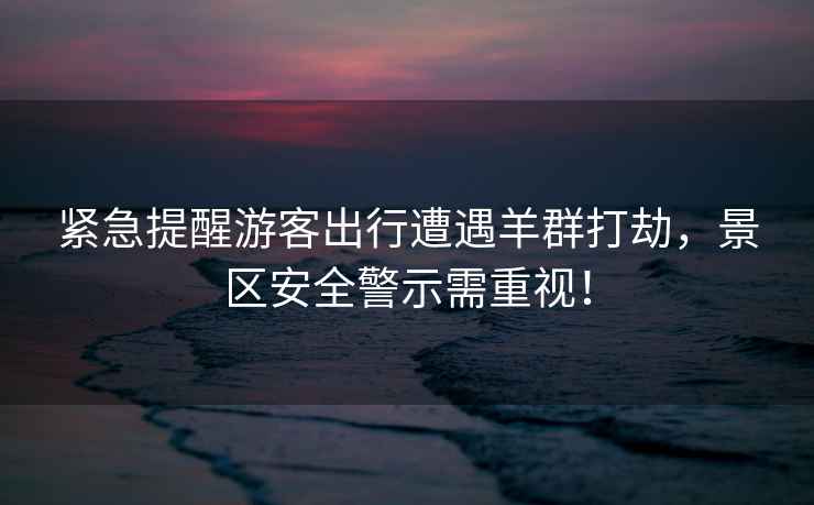 緊急提醒游客出行遭遇羊群打劫，景區安全警示需重視！
