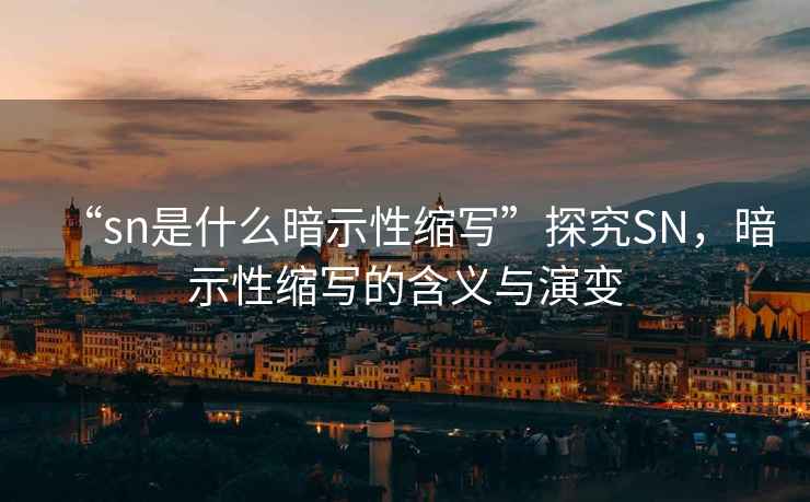 “sn是什么暗示性縮寫”探究SN，暗示性縮寫的含義與演變