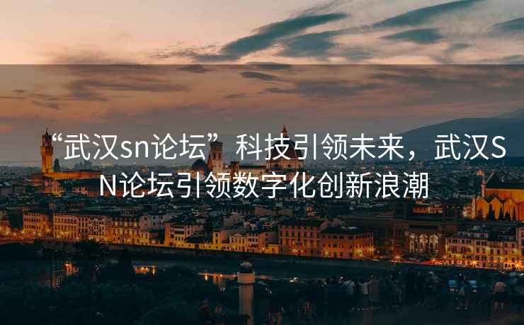 “武漢sn論壇”科技引領未來，武漢SN論壇引領數字化創新浪潮