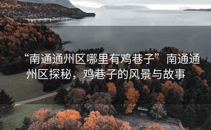 “南通通州區(qū)哪里有雞巷子”南通通州區(qū)探秘，雞巷子的風景與故事