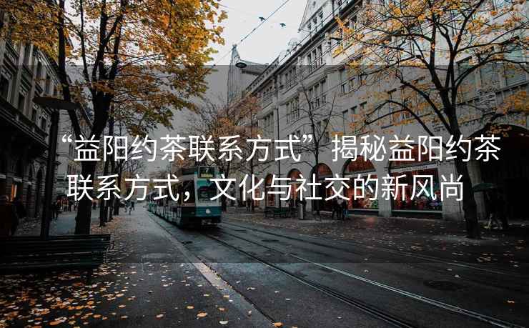 “益陽約茶聯系方式”揭秘益陽約茶聯系方式，文化與社交的新風尚