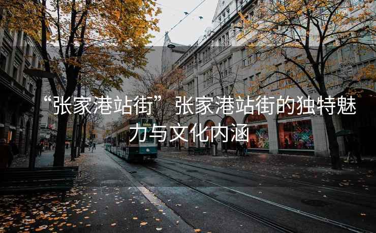 “張家港站街”張家港站街的獨特魅力與文化內涵
