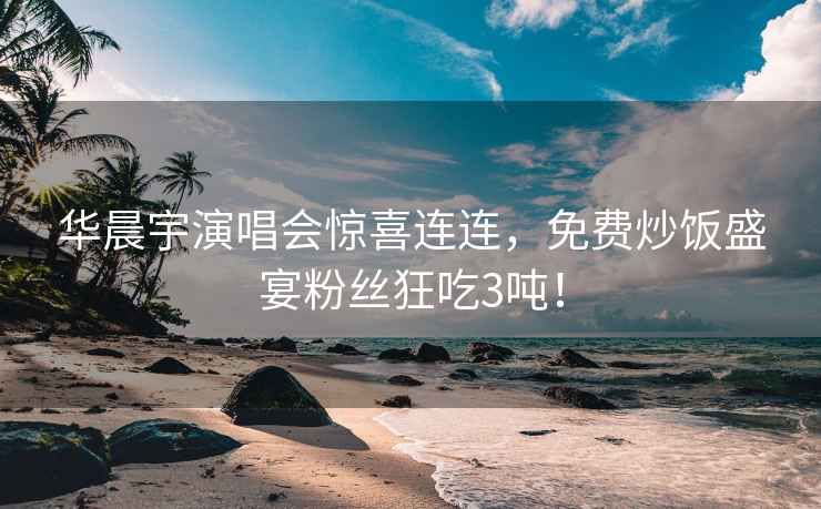 華晨宇演唱會(huì)驚喜連連，免費(fèi)炒飯盛宴粉絲狂吃3噸！