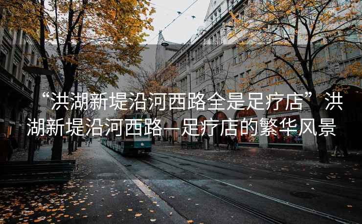“洪湖新堤沿河西路全是足療店”洪湖新堤沿河西路—足療店的繁華風(fēng)景