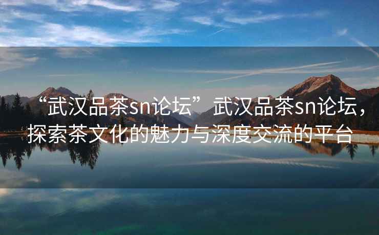 “武漢品茶sn論壇”武漢品茶sn論壇，探索茶文化的魅力與深度交流的平臺