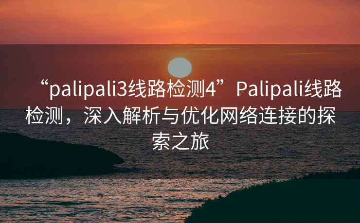 “palipali3線路檢測4”Palipali線路檢測，深入解析與優化網絡連接的探索之旅