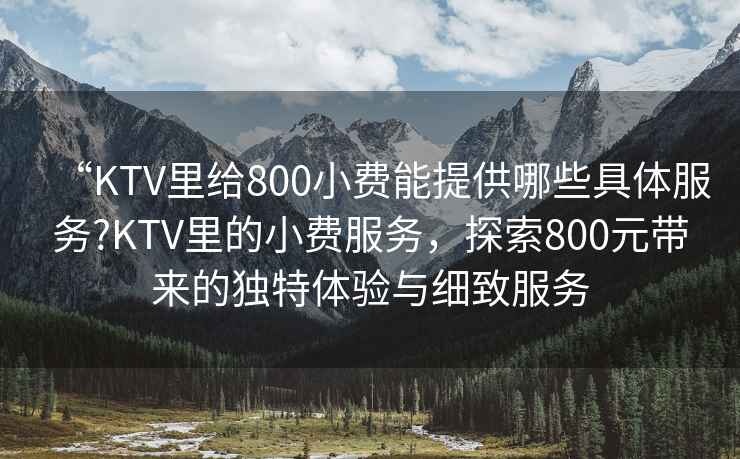 “KTV里給800小費能提供哪些具體服務?KTV里的小費服務，探索800元帶來的獨特體驗與細致服務
