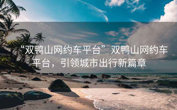 “雙鴨山網(wǎng)約車平臺”雙鴨山網(wǎng)約車平臺，引領城市出行新篇章