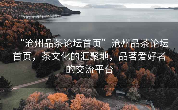 “滄州品茶論壇首頁”滄州品茶論壇首頁，茶文化的匯聚地，品茗愛好者的交流平臺