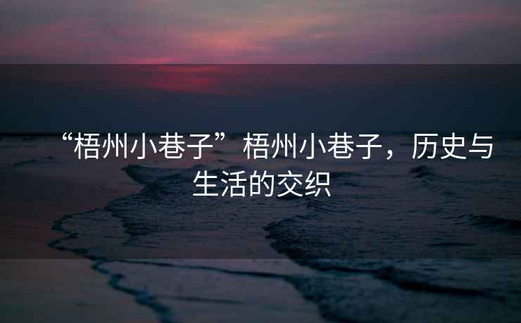 “梧州小巷子”梧州小巷子，歷史與生活的交織