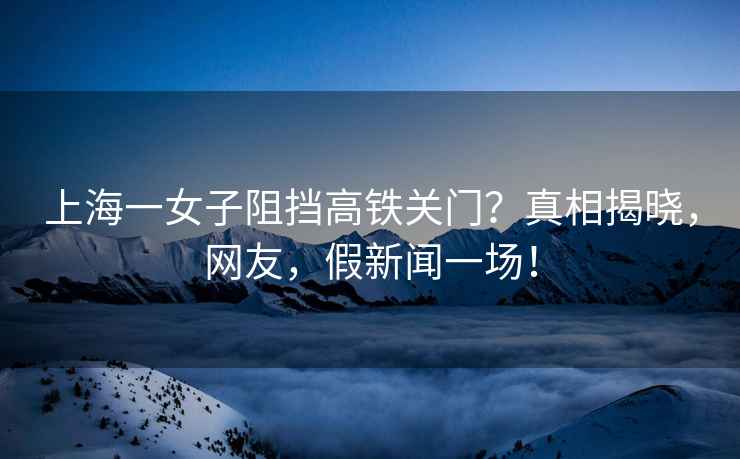 上海一女子阻擋高鐵關(guān)門？真相揭曉，網(wǎng)友，假新聞一場！