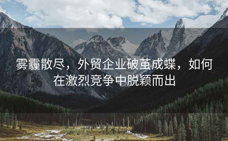 霧霾散盡，外貿(mào)企業(yè)破繭成蝶，如何在激烈競爭中脫穎而出