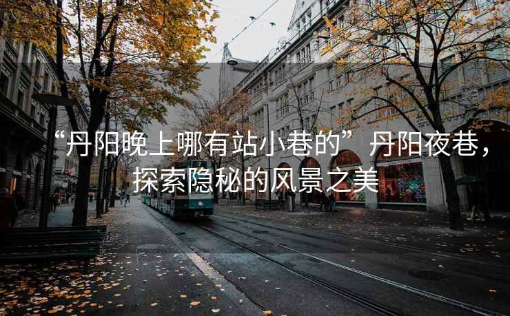 “丹陽晚上哪有站小巷的”丹陽夜巷，探索隱秘的風景之美