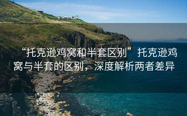 “托克遜雞窩和半套區別”托克遜雞窩與半套的區別，深度解析兩者差異