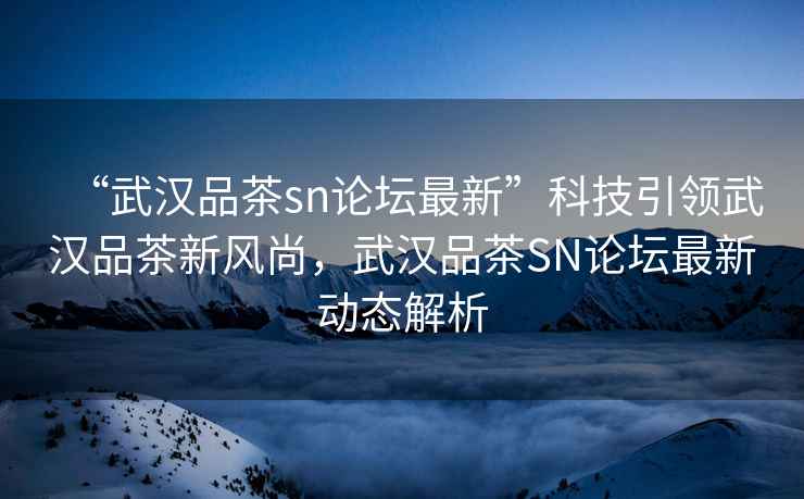 “武漢品茶sn論壇最新”科技引領武漢品茶新風尚，武漢品茶SN論壇最新動態解析
