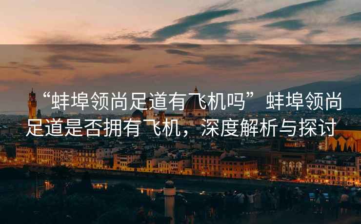 “蚌埠領尚足道有飛機嗎”蚌埠領尚足道是否擁有飛機，深度解析與探討