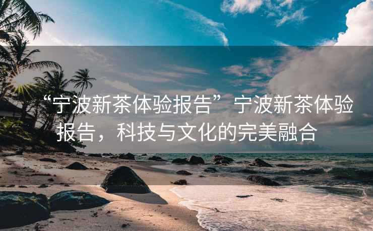 “寧波新茶體驗報告”寧波新茶體驗報告，科技與文化的完美融合
