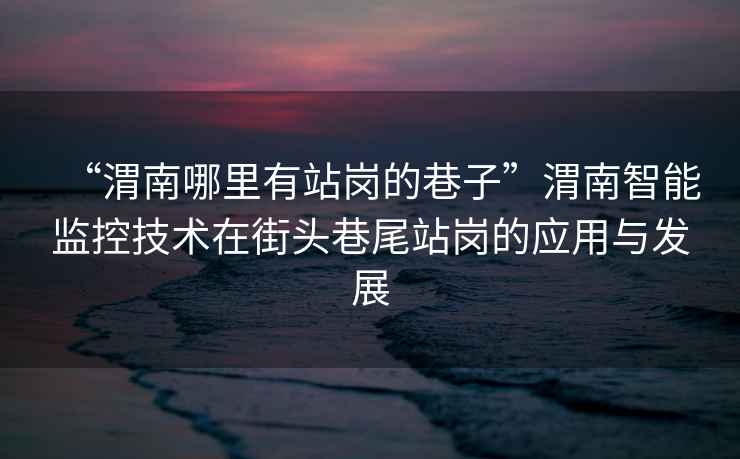 “渭南哪里有站崗的巷子”渭南智能監(jiān)控技術(shù)在街頭巷尾站崗的應(yīng)用與發(fā)展