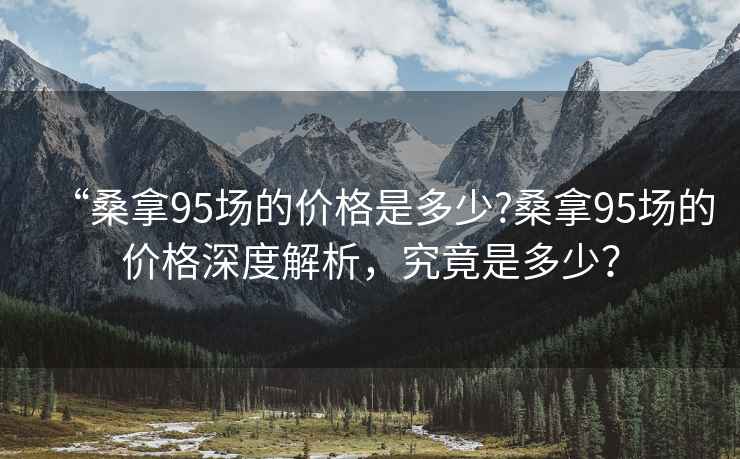 “桑拿95場的價格是多少?桑拿95場的價格深度解析，究竟是多少？