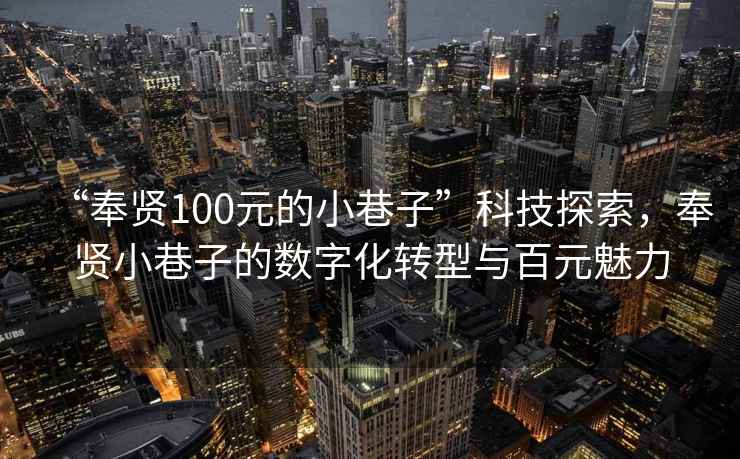 “奉賢100元的小巷子”科技探索，奉賢小巷子的數字化轉型與百元魅力