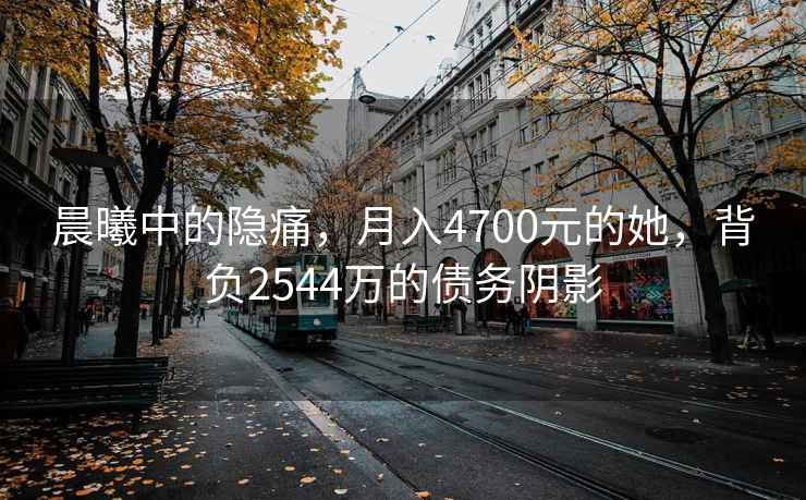 晨曦中的隱痛，月入4700元的她，背負2544萬的債務陰影