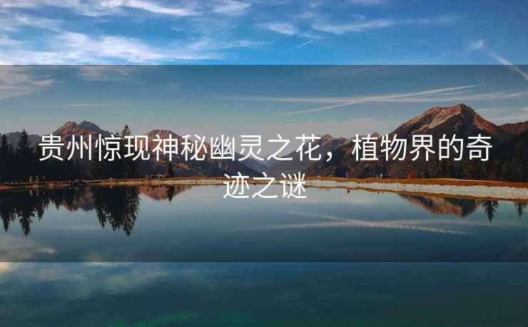 貴州驚現神秘幽靈之花，植物界的奇跡之謎