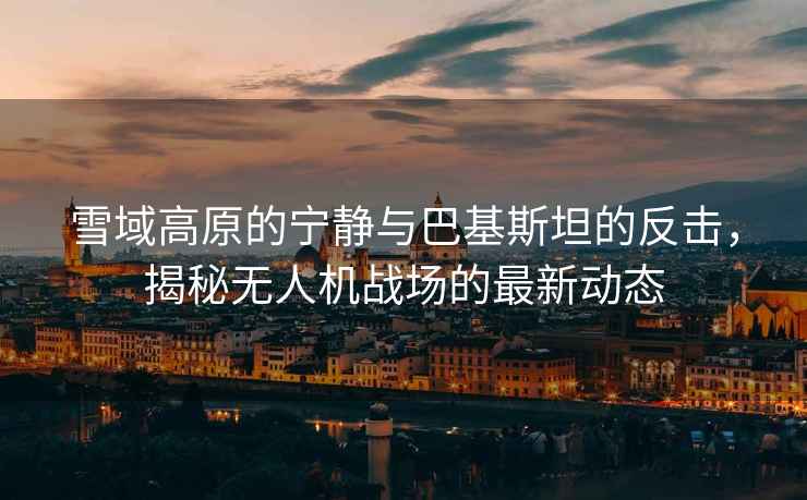 雪域高原的寧靜與巴基斯坦的反擊，揭秘無人機戰場的最新動態
