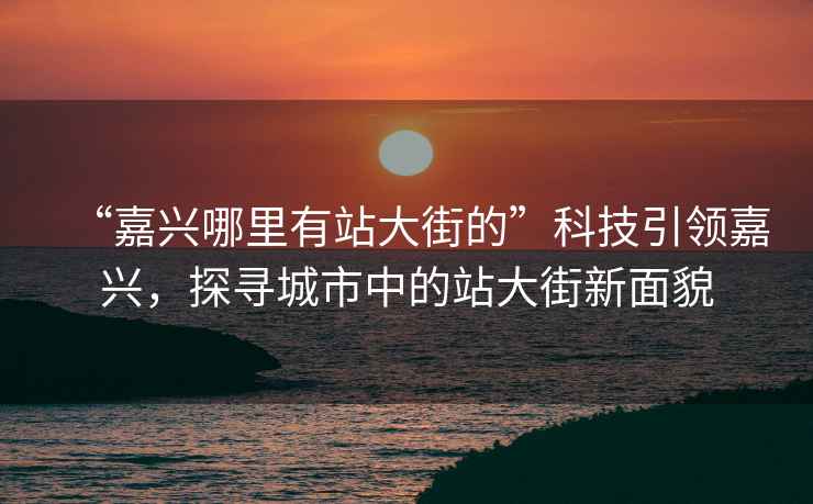 “嘉興哪里有站大街的”科技引領嘉興，探尋城市中的站大街新面貌