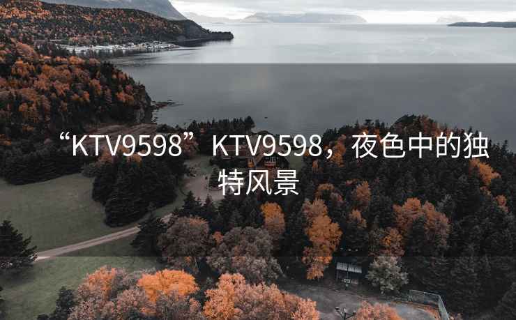“KTV9598”KTV9598，夜色中的獨特風景